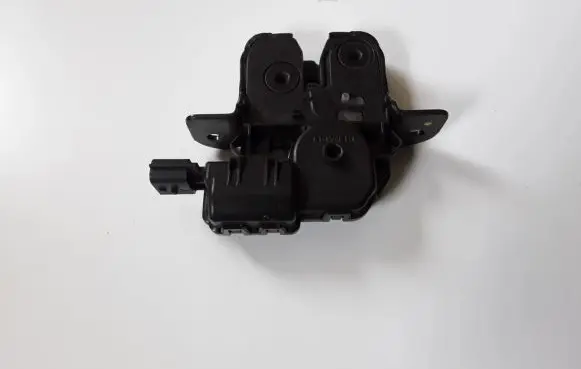 Loading door lock