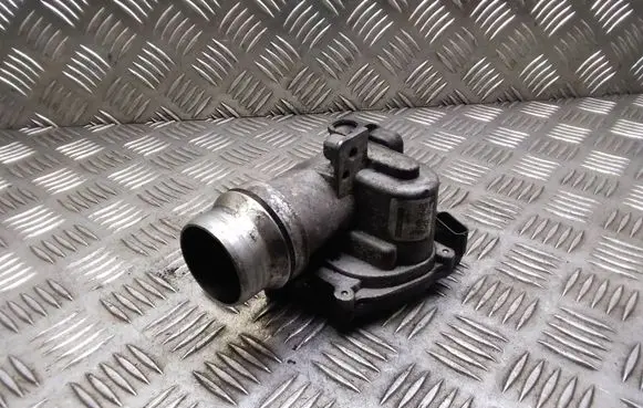 Nissan Qashqai Throttle valve 8200614985