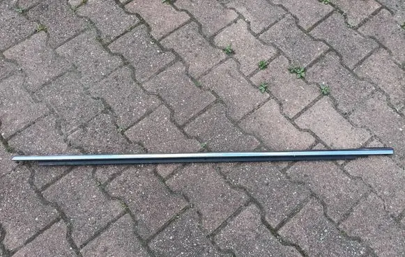 Ford Fusion II Rear door trim (molding)