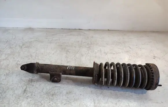 Chrysler 300 - 300C Front shock absorber with coil spring