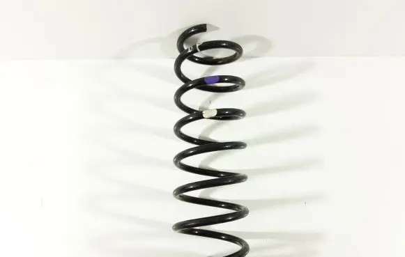 Front coil spring