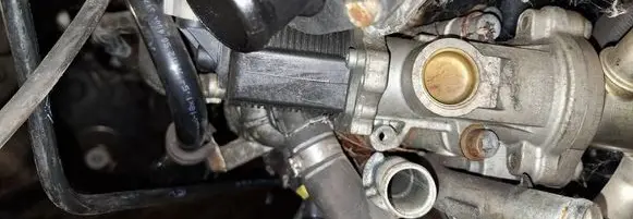 EGR valve