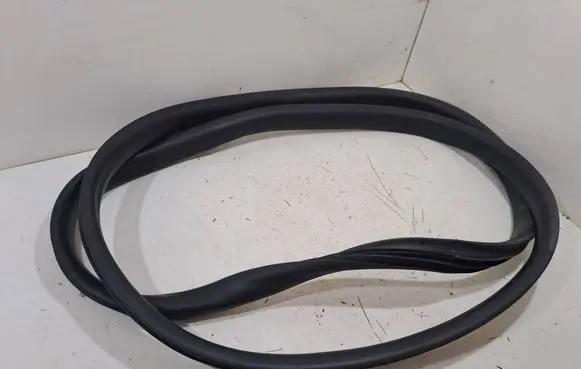 Dacia Sandero III Front door rubber seal 