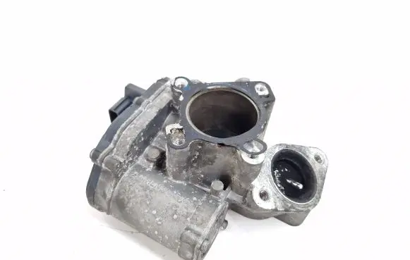 EGR valve