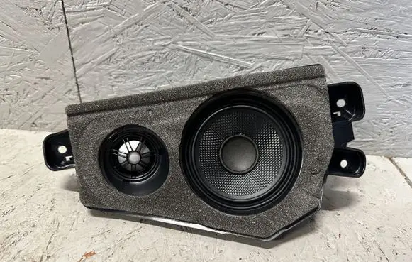 BMW X6 E71 Rear door speaker 9211049 18820010 430407861751