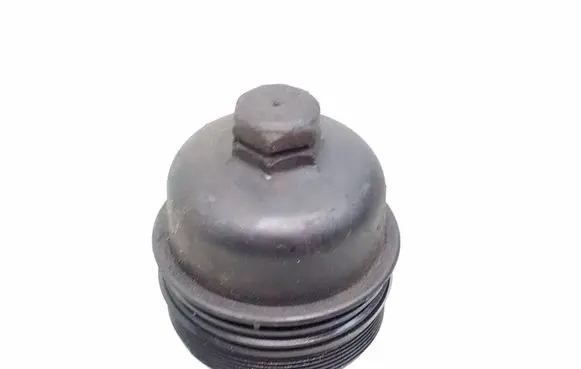 Peugeot 206 Oil filter cover 9878307