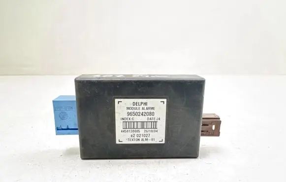 Peugeot 307 Alarm control unit/module 9650242080 4458138005 E2021027