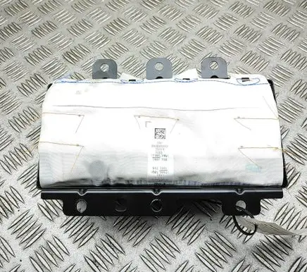 Tesla Model Y Juniper Passenger airbag 2010008EUB