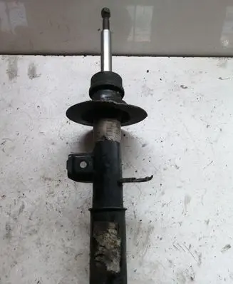 BMW X5 E53 Front shock absorber/damper 22215502