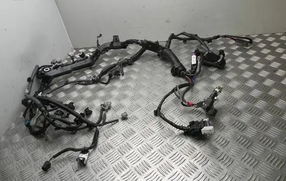 Engine installation wiring loom