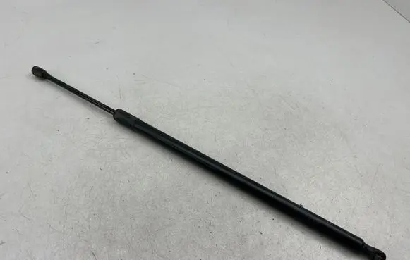 Tailgate/trunk strut/damper