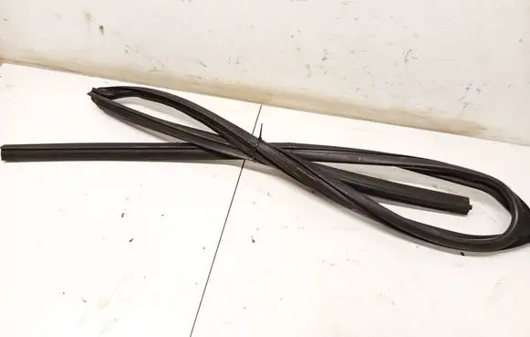 Dacia Sandero Rubber seal front coupe door PILKOS