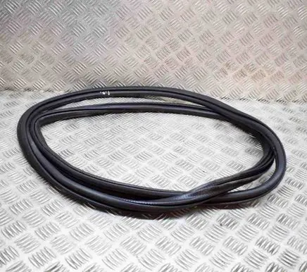 Skoda Octavia Mk4 Rubber seal front coupe door 5E3867365