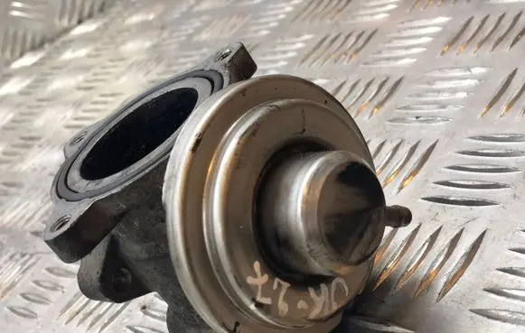 Seat Ibiza III (6L) EGR valve 045129637A