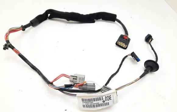 Front door wiring loom