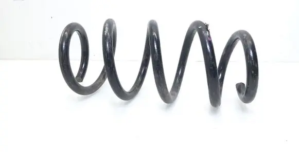Tesla Model 3 Rear coil spring