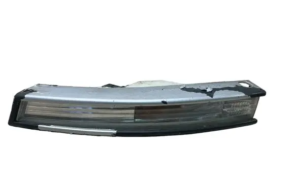 Volkswagen PASSAT B6 Front indicator light