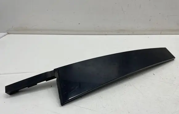 Other rear door trim element