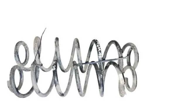 Skoda Octavia Mk3 (5E) Rear coil spring