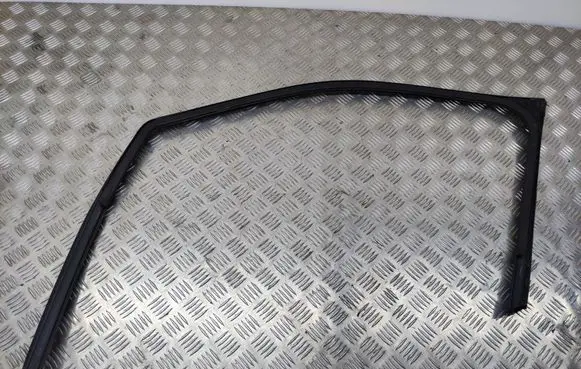 Citroen C4 Cactus Rubber seal front door (on door) 