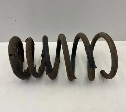Rear coil spring