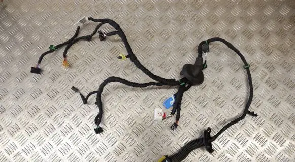 Front door wiring loom