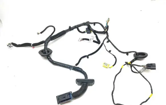 Front door wiring loom
