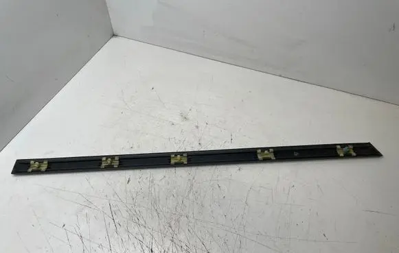 BMW 5 E39 Rear door trim (molding) 7004025