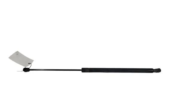 Tailgate/trunk strut/damper