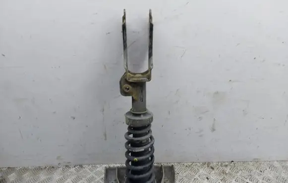 Porsche Cayenne (9PA) Front shock absorber with coil spring 7L5412022AA