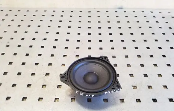 Tesla Model 3 Panel speaker 107974200B