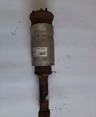 Land Rover Range Rover Sport L320 Air suspension front shock absorber RNB501220
