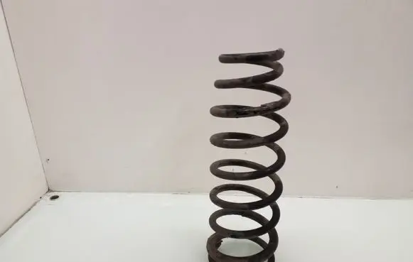 Chevrolet Epica Rear coil spring