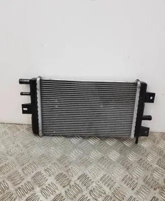 Dacia Spring Coolant radiator 1301041BBG PA66GF30 214109411R