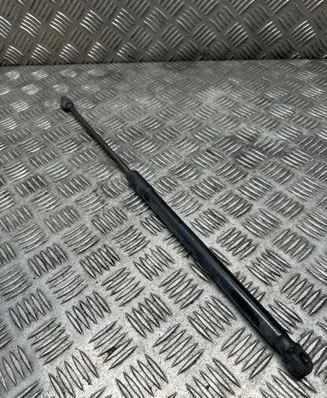 Tailgate/trunk strut/damper