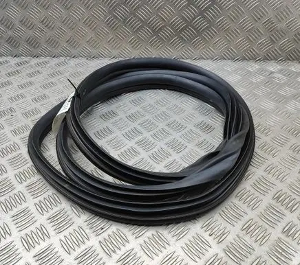 KIA Niro Rubber seal front coupe door 82110AT000