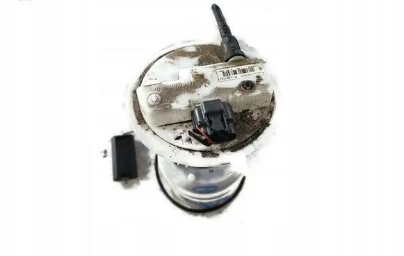 Renault Clio IV In-tank fuel pump 172025354R
