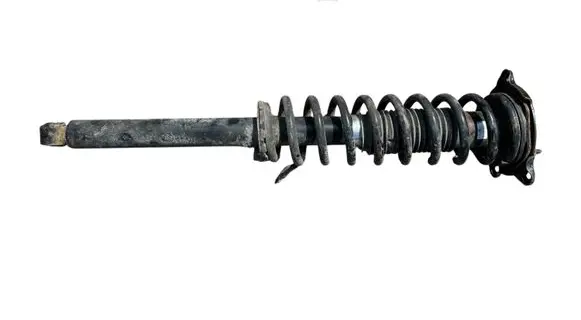 Tesla Model S Rear shock absorber with coil spring 101562000E 182050029