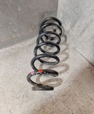 Rear coil spring