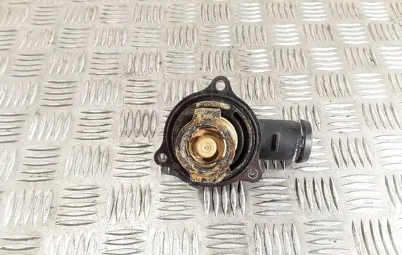 Thermostat/thermostat housing