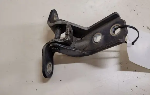 Hyundai Santa Fe Front door lower hinge 