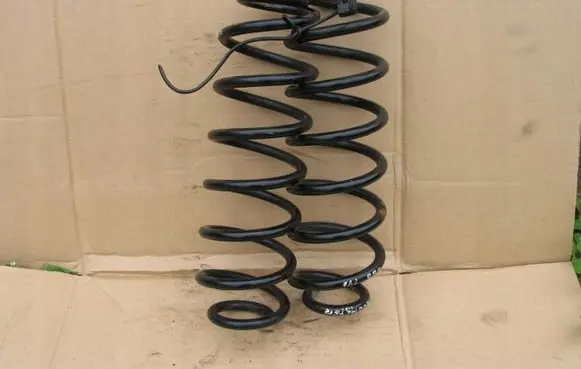 Skoda Roomster (5J) Rear coil spring Array