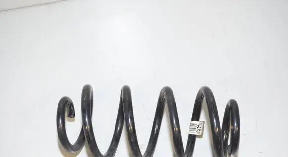 Rear coil spring