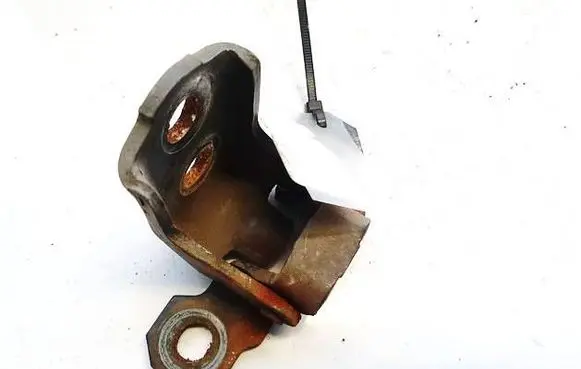 Renault Laguna II Rear door lower hinge 
