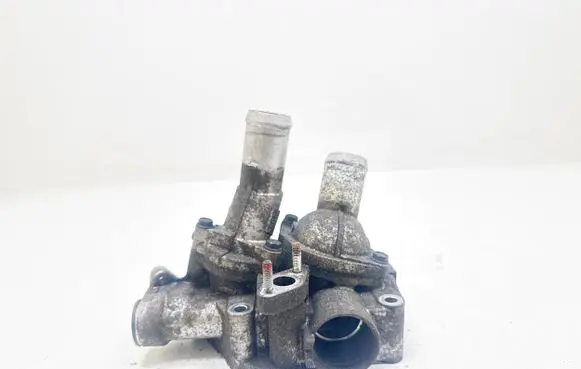 Thermostat/thermostat housing