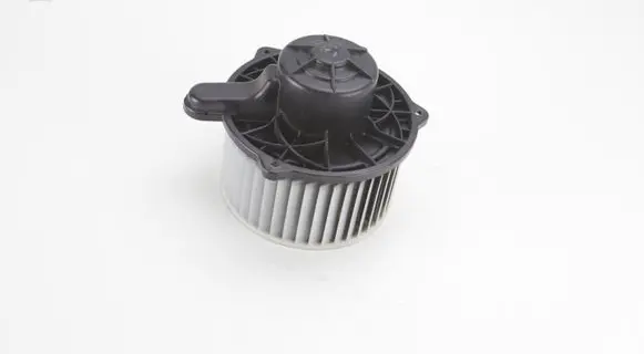 Hyundai ix 55 Heater fan/blower F00S33F011