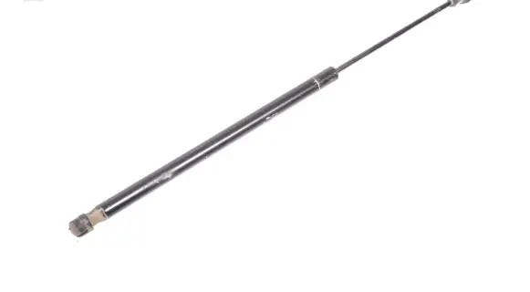 Tailgate/trunk strut/damper
