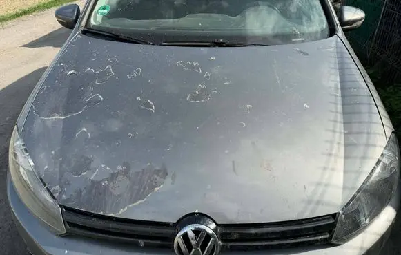 Volkswagen Golf VI Engine bonnet/hood LA7T