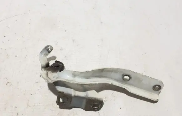 Nissan Pulsar Engine bonnet/hood hinges 654013DN0A