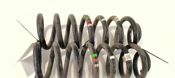 Rear coil spring